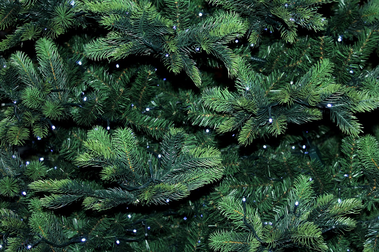 Xmas Light Brothers
